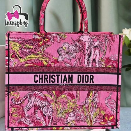 Dior Book Tote