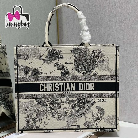 Dior Book Tote