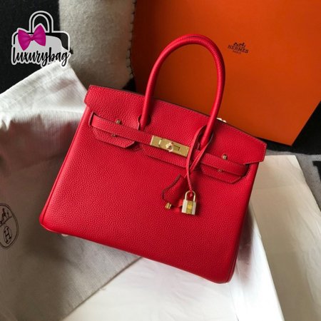 Hermes Birkin 25 Rouge de Coeur Togo Gold Hardware Red Bag