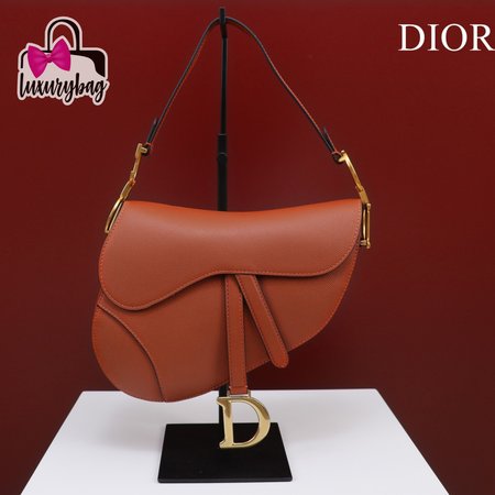 Dior Saddle M0446